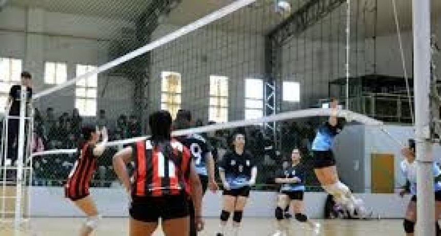 TORNEO DE VOLEY  LUIS 